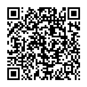 还引起了n市大学的一些学经济和工商管理的学生和老师的关注和兴趣二维码生成