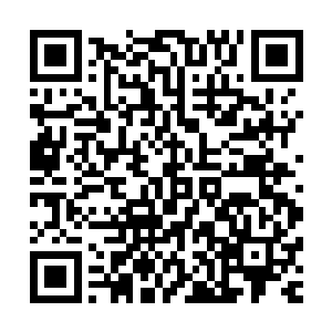 还很少有人可以找到灵药这种几乎已经完全灭绝了的稀世奇珍二维码生成
