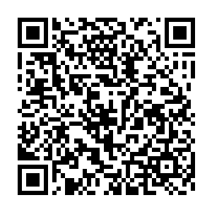 还得经过一轮的评选尽管他如今的资格足以做相关委员会的评委了二维码生成