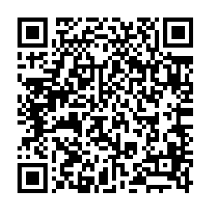 还把程兆儿之前丢在她这边的上次去镇上的买的米面之类的一起给程兆儿带着了二维码生成