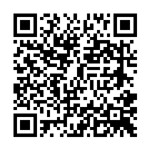 还抓着一把巨大的犹如某种巨型动物牙齿的……骨刀二维码生成