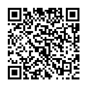 还拥有飞剑炼制而成的骨骼和肢体……简直是最完美的终极兵器二维码生成