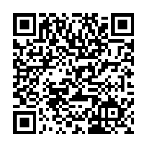 还推演了一楼每个房间与地下走廊各个房间的位置是否重叠二维码生成
