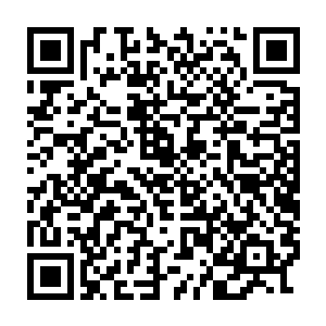 还时不时的伸手往放在金在珉膝盖上的爆米花桶里抓一把美美的吃着二维码生成