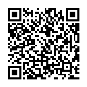 还是他完全就是在瞎捣乱……他在附和了宋毅退出帮主竞争之后二维码生成