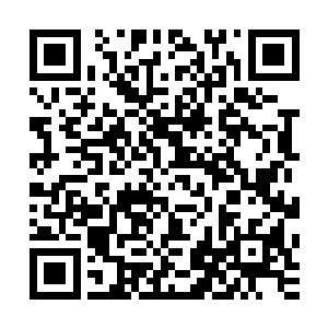 还是你觉得林峰和代表着阿斯兰最强实力的剑盾玫瑰不堪一击二维码生成