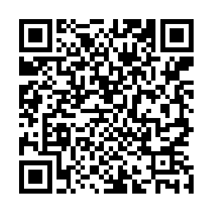 还是前一波姿态半血不回城继续赖在线上给陈诚动手的机会二维码生成