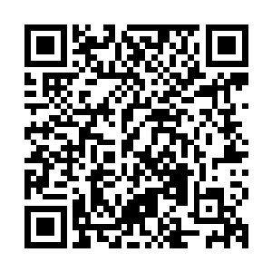 还是因为受到了他们无上天魔舞的恶念侵蚀才变成现在这副样子二维码生成