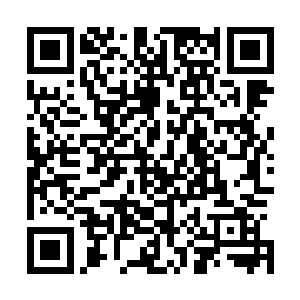 还是想要干掉魔门和邪宗的人……如何任务已经完成一半了二维码生成