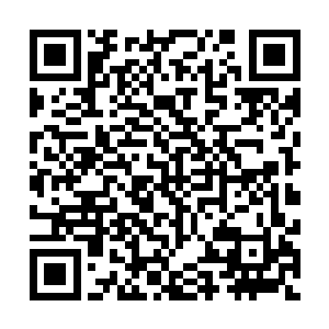 还是政fu军的存在才没让胜利阵线和艾斯艾斯彻底打起来二维码生成