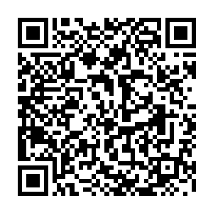 还是等我回去准备一下到时直接把宗宝魂儿给玉兰姨带回去就行了祸不在人二维码生成