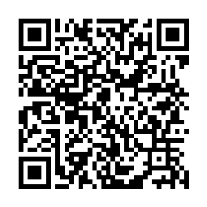 还是自己的手背在他的掌心中厮磨……就像翠柳绿树的长叶二维码生成
