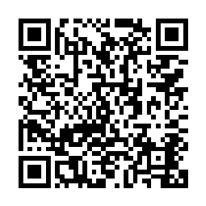 还是说他们真的相信了佛门放出来的那个可以长生不老的谣言呢二维码生成