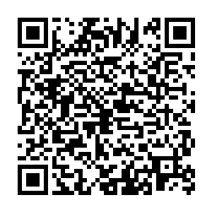还是说你到现在都不肯相信是你欣赏的那位教宗陛下杀了你的儿子二维码生成