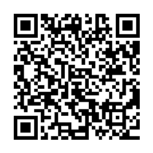 还是路过这里直接从飞艇上用旋翼降落伞跳下来的几个赏金刑捕二维码生成