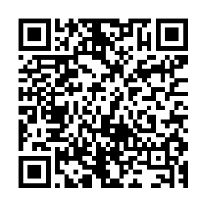 还是靠他在灵异剧本里累积到的撞鬼经验慢慢累积起来的……二维码生成