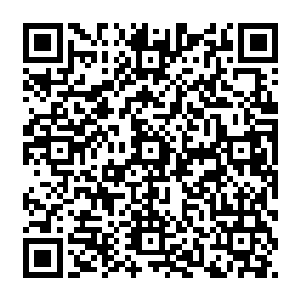 还有……门口左边地上放着了那个破旧的大轮胎――这曾经是自己和弟弟小时后的玩具二维码生成