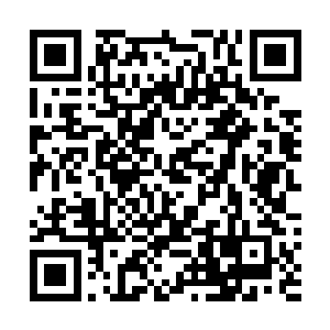 还有一个地方……梓箐从原主的记忆缝隙里找到一段记忆二维码生成
