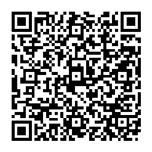 还有一个让他落在大海龟上的原因――――不知为何他感觉这大海龟让他有一种熟悉的感觉二维码生成
