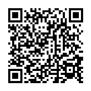 还有一些不属于剑神宗的大家族子弟……一旦完成任务二维码生成