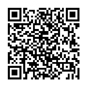 还有一样生物就算你说的三样加在一起都不算什么了二维码生成