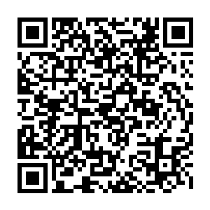 还有一项重要的任务就是为家族收集一些只有在暗星界内才会产出的资源二维码生成