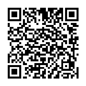 还有丛林深处光影的变幻……无数信息在脑域中狠狠碰撞二维码生成