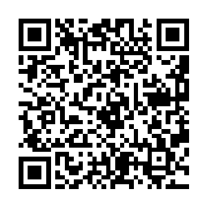 还有两个身受重伤的家伙不得不带着他们回到了豫州海江宗二维码生成