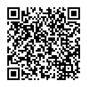 还有人到现在都是一副不敢相信的样子――驾驶滑翔机去和翼魔厮杀二维码生成