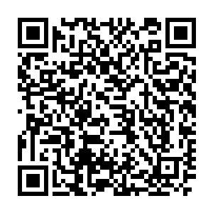 还有什么能够让这么多家族愿意舍弃掉一个将来如此有发展前景的盟友二维码生成