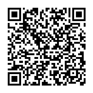 还有他们老祖宗陪葬的一卷手稿……据说当时太真门和还丹宗联手打开祖师墓二维码生成
