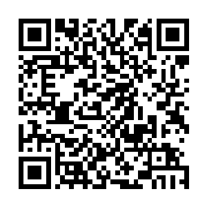 还有修仙界的小宗门势力都分了一部分人手进入了无尽森林二维码生成