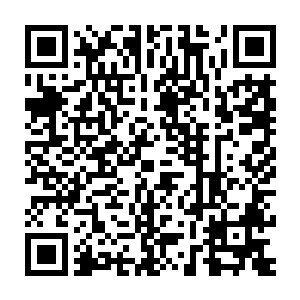 还有其他几名星盟成员又陆陆续续的从野林中返回到了先前的位置二维码生成