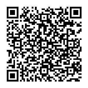 还有则是在南州的方向……不过前段时间苏吴冷三家已经提出要像我们死灵一族臣服的说法二维码生成