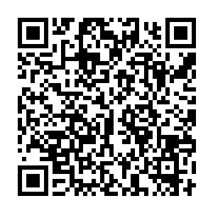 还有刚才对杨风的攻击都让杨风觉得眼前的小荒根本就不是真正的小荒二维码生成