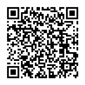 还有刚才罗十二打断了她和晏二爷的谈话……晏锦认为那个看似病怏怏的罗十二二维码生成