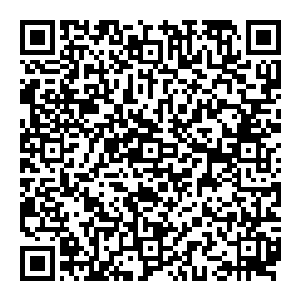 还有创新节目研部……风险评估管理部……导演部……摄像部……编剧组……现场统筹组……剪辑和后期制作组……二维码生成