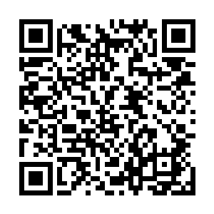 还有前世不懂事给二老给家族造成的覆没的伤害……这一世二维码生成