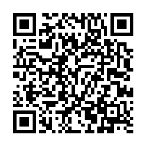 还有原俄罗斯内务部的特别用途机动单位及特别反应小组二维码生成