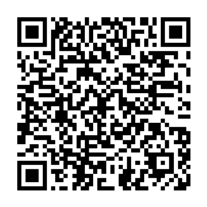 还有因为飞机算是长途飞行而穿的那双轻便运动鞋此时也沾上了一些污渍二维码生成