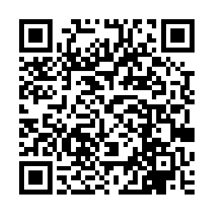 还有在棚间走动的各色人等――珍妮刚才似乎还看到了哈里森二维码生成