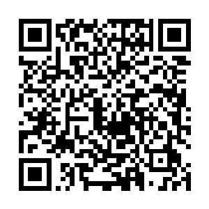 还有大约就是导演在使用镜头和台词时候的简约与克制二维码生成