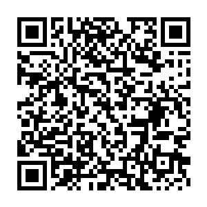 还有定王府暗中的暗卫还有耶律野出门在外也不可能真的不带侍卫二维码生成