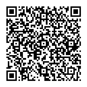 还有岛上西侧那座原本由日本右翼团体修建的小型金属结构的灯塔似乎受到了什么强大力量的摧毁二维码生成
