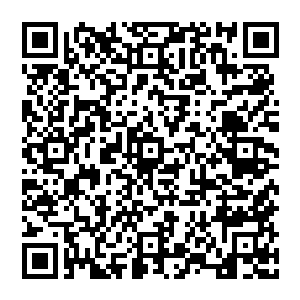 还有已经消耗的只剩下十分之一灵力的二十张五品的顶级符箓和一张也消耗得一样的六品顶级符箓二维码生成