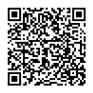 还有很多名贵的梁木与看着便知不凡的玉石材料被堆放在门侧的空地上二维码生成