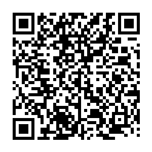 还有很大一部分的原因则是因为吞蛇军实在是将长蛇阵演绎到了十分精妙的地步二维码生成