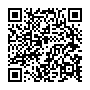 还有我亡灵君主可不是你们这帮宵小之徒可以打主意的二维码生成