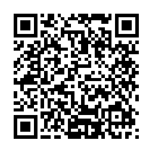 还有我已经把你上次朗诵的词给了军报的很多领导看过二维码生成