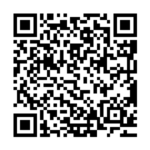 还有数以百计的变异生物在虎视眈眈着……若非他们这边的激战二维码生成